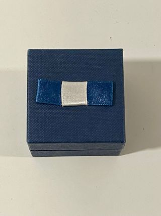 Orecchini pendenti metallo argentato