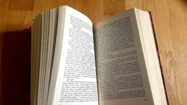 La hoguera de las vanidades