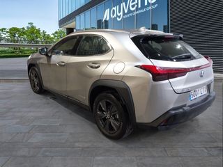 Lexus UX 250h Business 2WD 135 kW (184 CV)