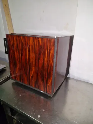 Nevera pequeña bajita Zanussi