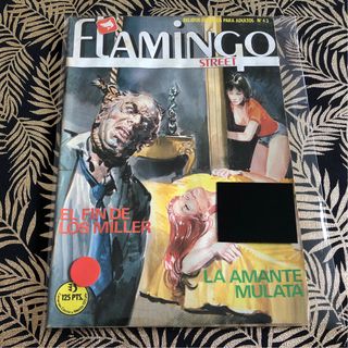 Lote Cómics Flamingo Street X10