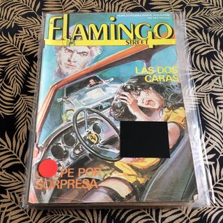 Lote Cómics Flamingo Street X10