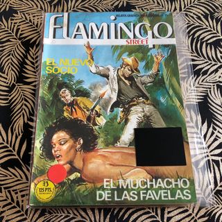Lote Cómics Flamingo Street X10