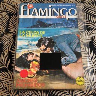 Lote Cómics Flamingo Street X10