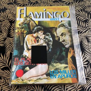 Lote Cómics Flamingo Street X10