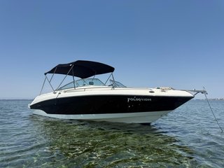 Lancha Sea Ray 260BR 8Metros Puerto Mar De Cristal