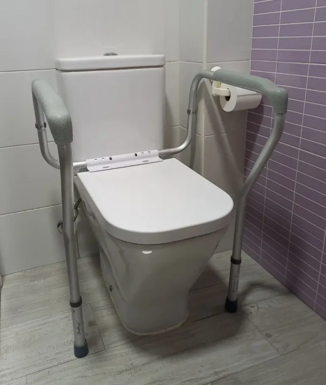 Asidero WC para baño