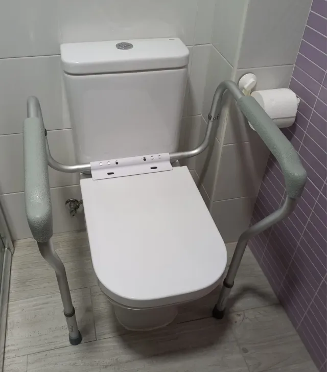 Asidero WC para baño