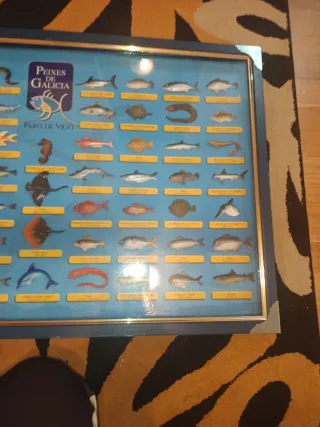 Colección Peces de Galicia