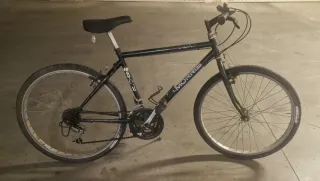 Bicicletta T. Morris ruote 26