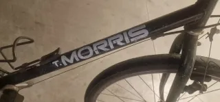 Bicicletta T. Morris ruote 26