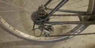 Bicicletta T. Morris ruote 26