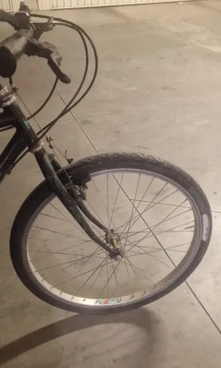 Bicicletta T. Morris ruote 26