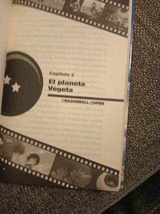 Dragon Ball Broly (novela)