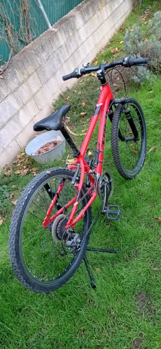 Bicicleta Montaña Infantil 20 Trek