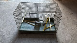 Gabbia per uccelli con accessori