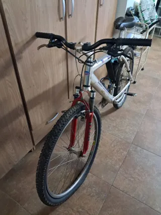 Bicicleta BH Top Line