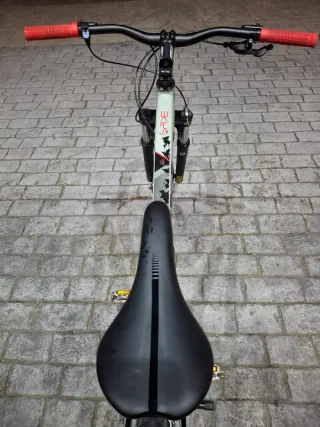 Bici BTT 29 BH Spike