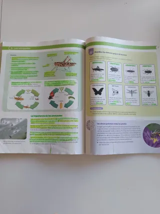 BIOLOGIA Y GEOLOGIA MEC 1ESO CONSTRUYENDO MUNDOS