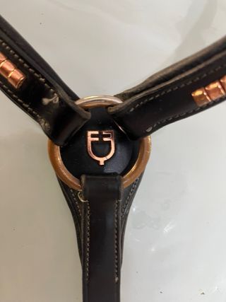 Pettorale e forchette equitazione