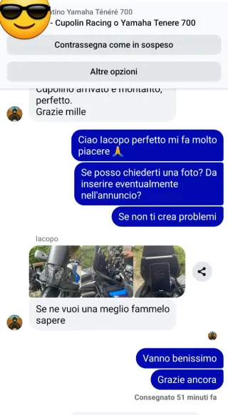 Cupolino Racing Yamaha Tenere 700