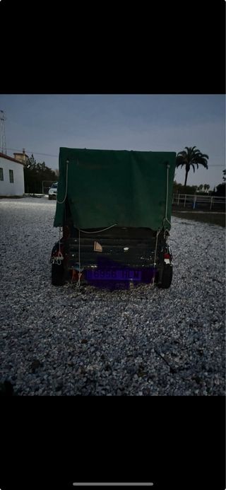 Carro para perros con lona verde