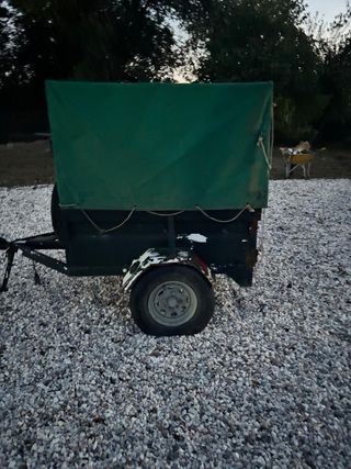 Carro para perros con lona verde