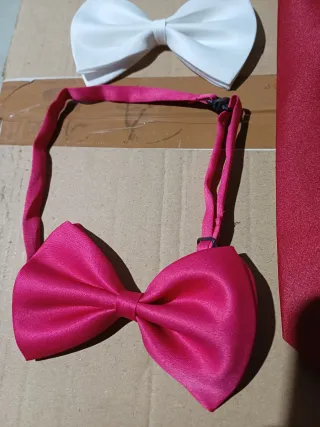 Corbatas y pajaritas de fiesta