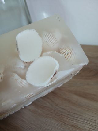 Candela decorativa con conchiglie