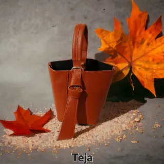 Bolso bombonera Patricia – Piel estilo lujo