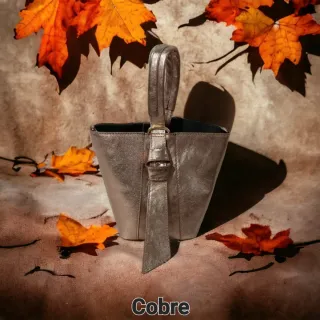 Bolso bombonera Patricia – Piel estilo lujo