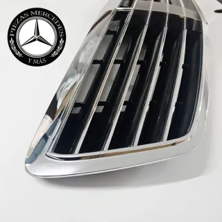 Rejilla Mercedes S W220 Distronic