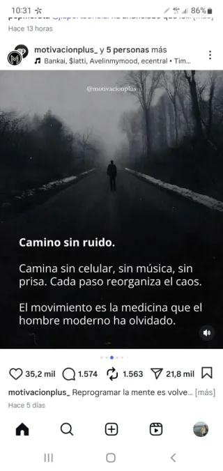 Se hacen mudanzas y transportes  .