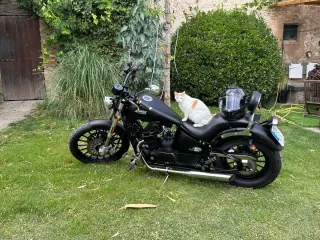 Leonart Daytona 2019 Negra