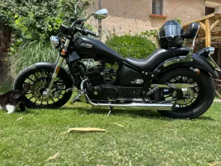 Leonart Daytona 2019 Negra