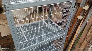 Jaulas para pájaros apilables