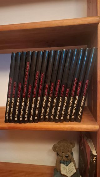 Colección libros el Cuerpo Humano