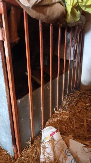 Jaula transportín para animales