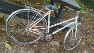 Bicicleta de paseo mujer