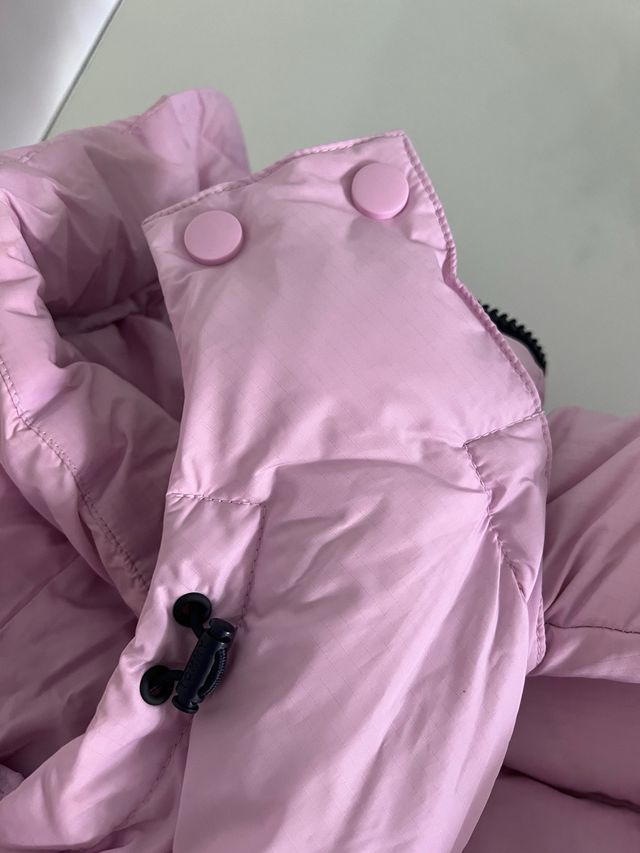 Plumas Tommy Hilfiger Rosa