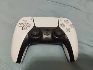 Mando PS5 DualSens