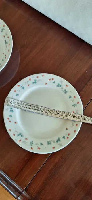 12 piatti piani piccoli fragole