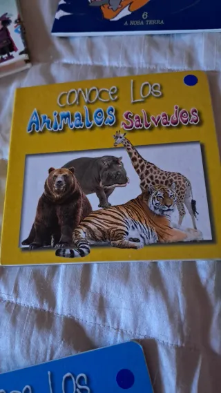 Lote 9 libros  infantiles