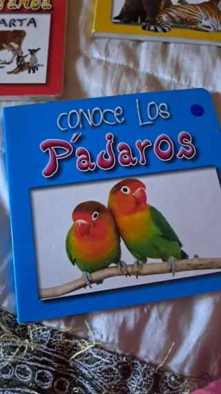 Lote 9 libros  infantiles