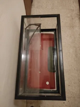 Tortuguera de cristal con tapa