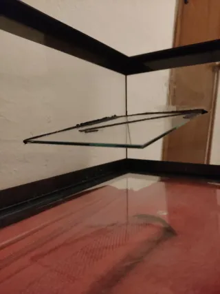 Tortuguera de cristal con tapa