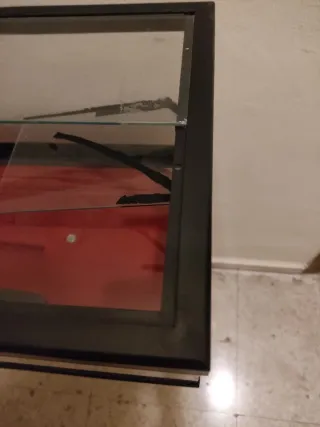 Tortuguera de cristal con tapa