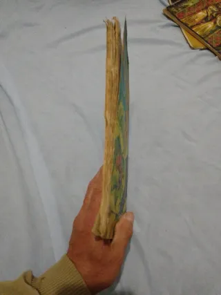 Álbum cromos Selva Misteriosa 114 cromos