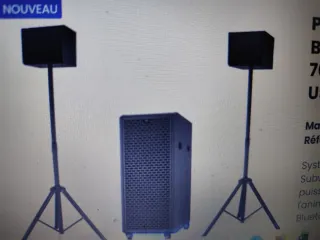 Equipo Sonido 2000W: Sub Doble 12 + 2 Monitores