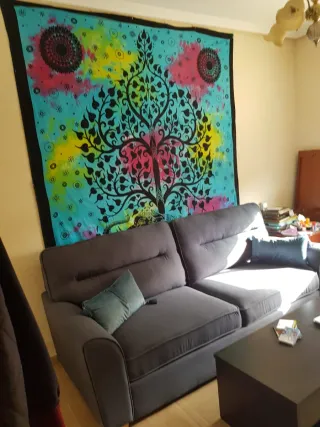 Sofá Cama Gris Tela